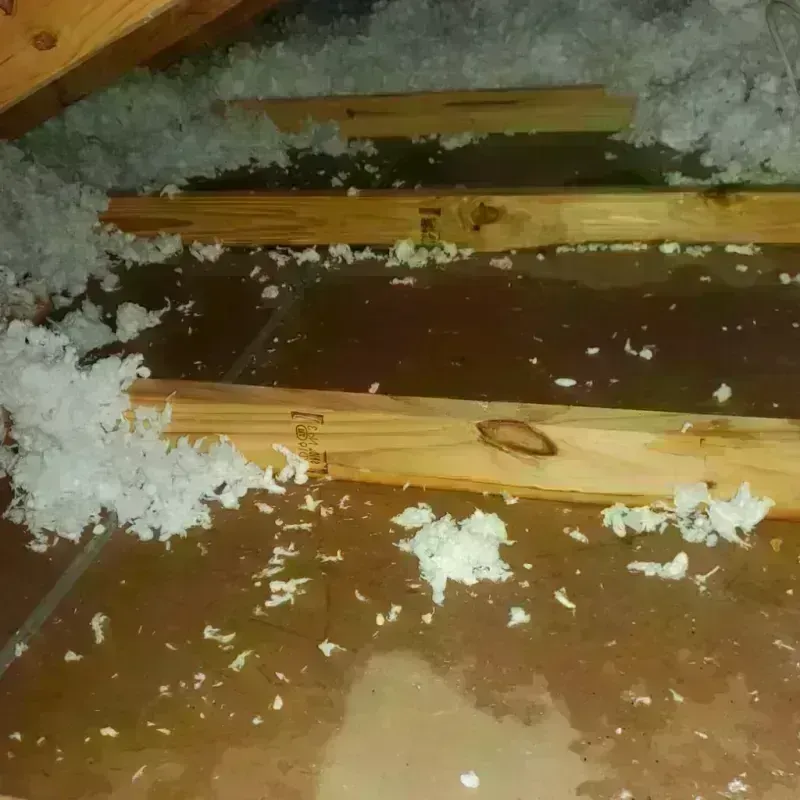 Attic Water Damage in Aransas County, TX